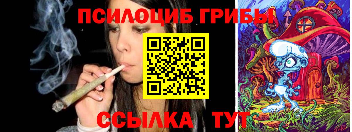 Аргун  Галлюциногенные грибы ЛСД  Галлюциногенные грибы Psilocybe  Вход с VPN 