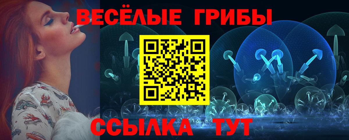Галлюциногенные грибы Cubensis Аргун